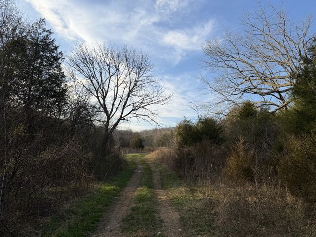 1565 Old Elkton Pike, Dellrose, TN 38453