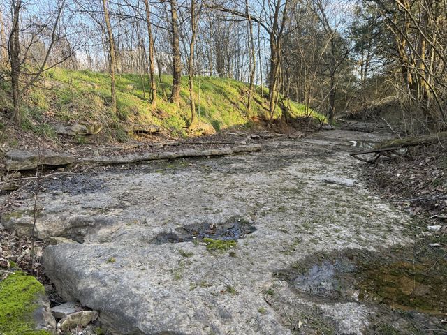 1565 Old Elkton Pike, Dellrose, TN 38453