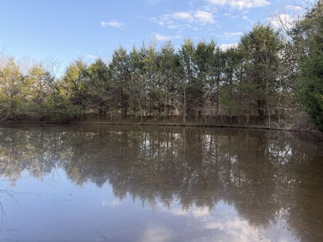 1565 Old Elkton Pike, Dellrose, TN 38453