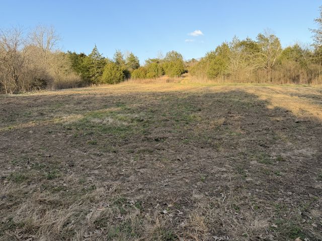 1565 Old Elkton Pike, Dellrose, TN 38453