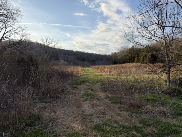 1565 Old Elkton Pike, Dellrose, TN 38453