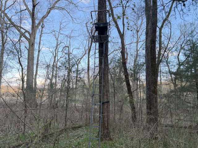 1565 Old Elkton Pike, Dellrose, TN 38453