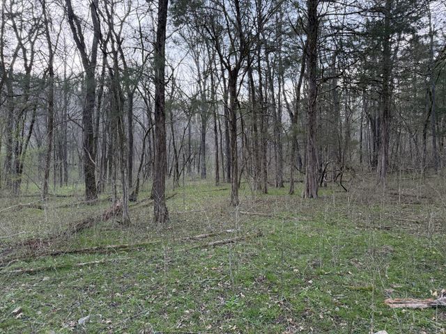 1565 Old Elkton Pike, Dellrose, TN 38453