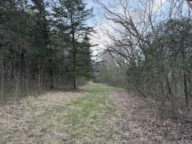 1565 Old Elkton Pike, Dellrose, TN 38453