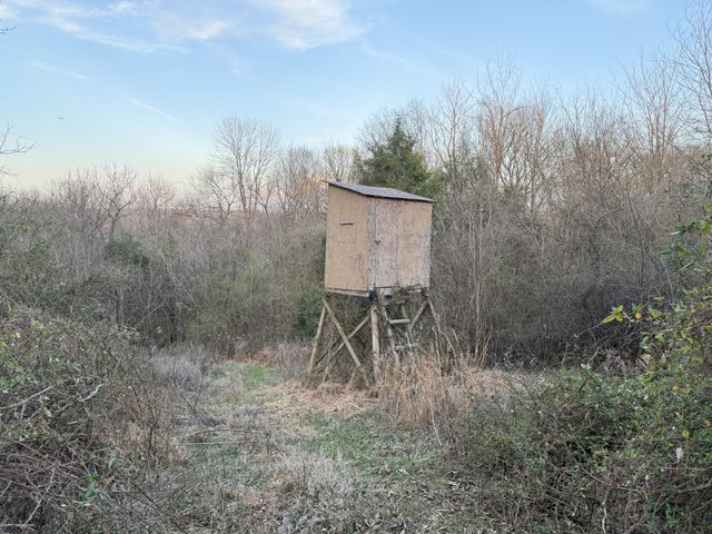 1565 Old Elkton Pike, Dellrose, TN 38453