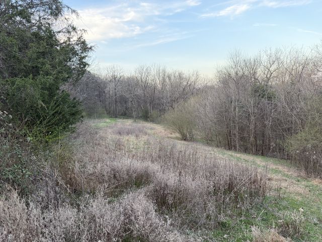 1565 Old Elkton Pike, Dellrose, TN 38453