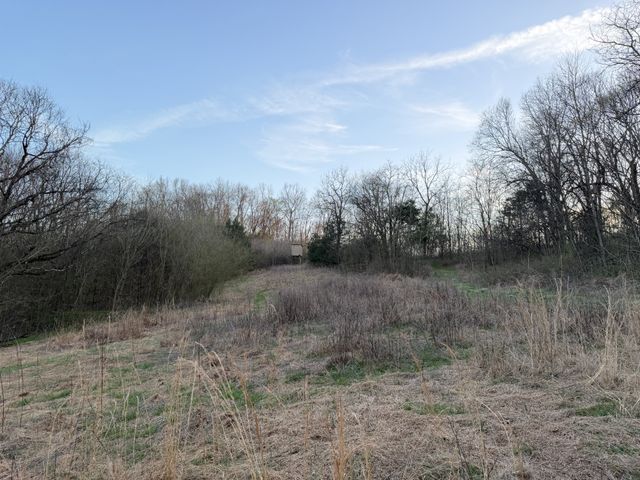 1565 Old Elkton Pike, Dellrose, TN 38453