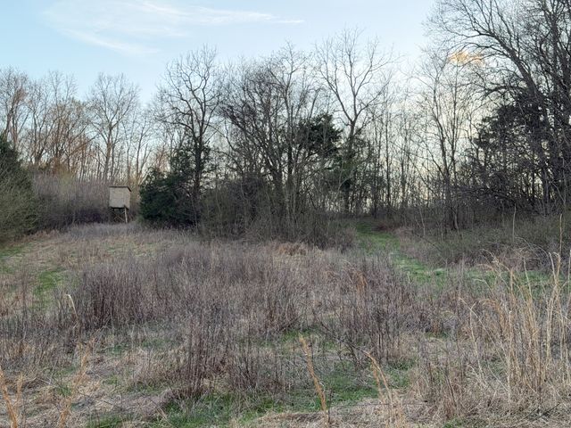 1565 Old Elkton Pike, Dellrose, TN 38453