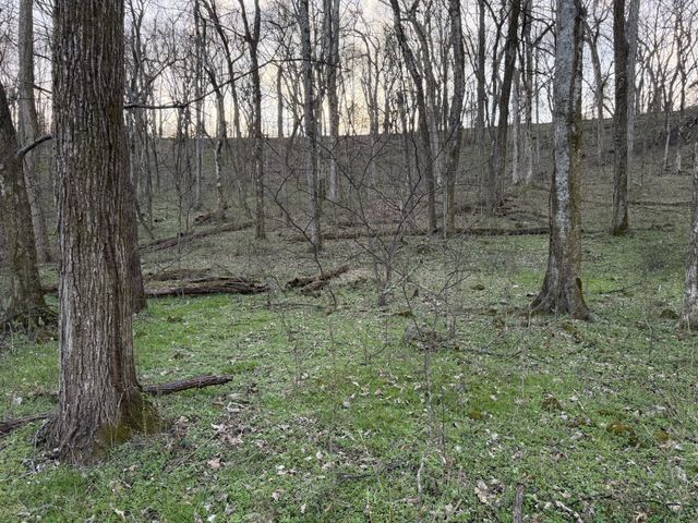 1565 Old Elkton Pike, Dellrose, TN 38453