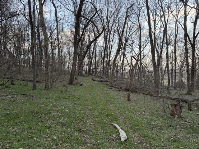 1565 Old Elkton Pike, Dellrose, TN 38453