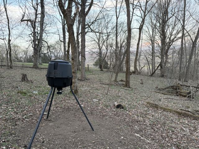 1565 Old Elkton Pike, Dellrose, TN 38453