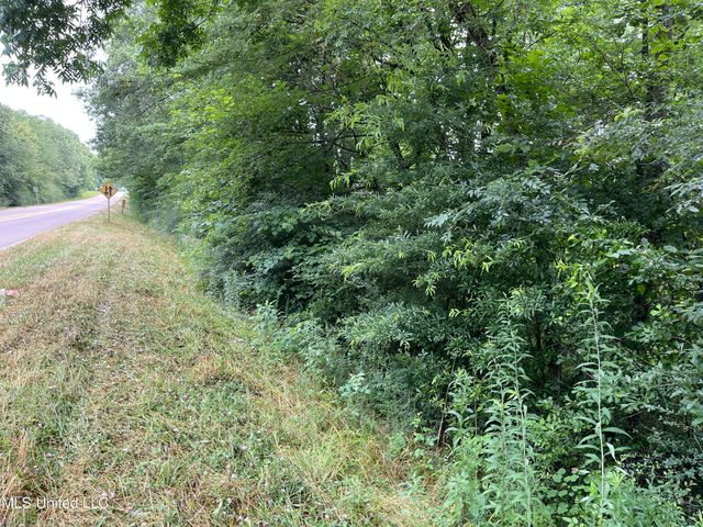 0 N Hwy 35, Forest, MS 39074