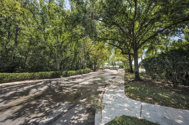 8015 SAVANNAH SUNSET LANE, Tampa, FL 33615