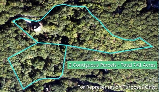 69 Rock Springs Road, Fairview, NC 28730
