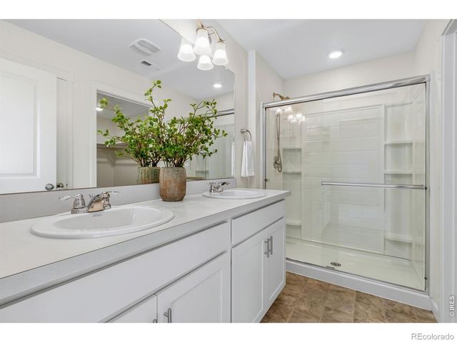 3759 Catmint Street, Wellington, CO 80549