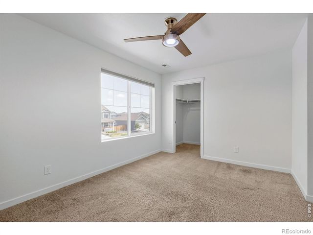 3759 Catmint Street, Wellington, CO 80549