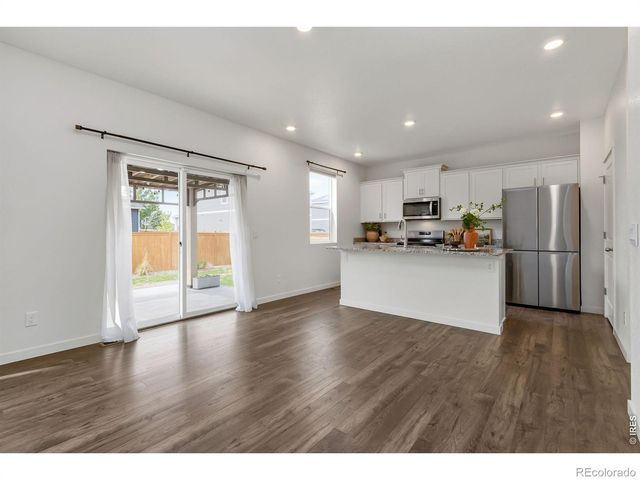 3759 Catmint Street, Wellington, CO 80549