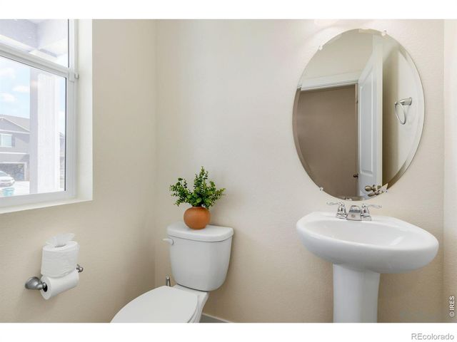 3759 Catmint Street, Wellington, CO 80549