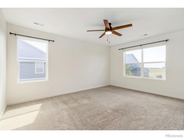 3759 Catmint Street, Wellington, CO 80549