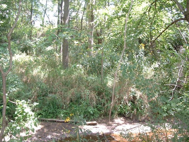 11950 Crouse Willison Road, Croton, OH 43013