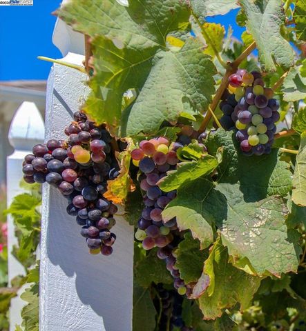 2105 Malbec Cmn, Livermore, CA 94550