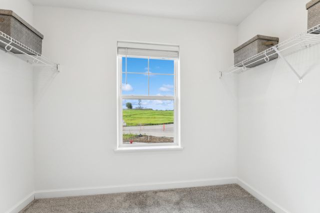 5305 Long Pointe Pass, Woodbury, MN 55129