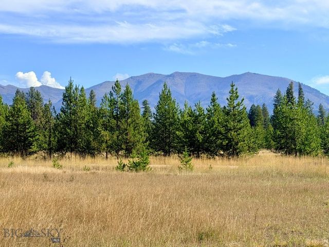 Land at 422 Daisy Lane, Seeley Lake, MT 59868