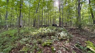 00 Walker Branch Road Lot 3, Dunlap, TN 37327