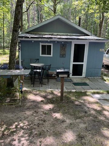 2104 E 88th Street, Idlewild, MI 49642