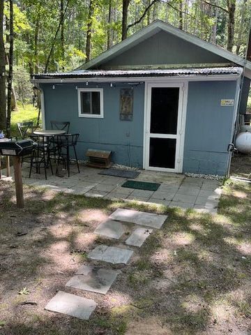 2104 E 88th Street, Idlewild, MI 49642