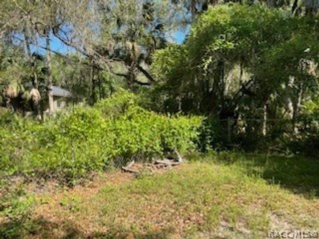 11442 W Indian Woods Path, Crystal River, FL 34428