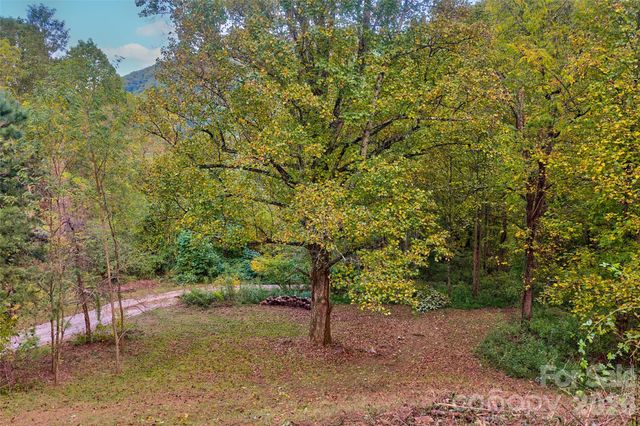1087 N Turkey Creek Road, Leicester, NC 28748