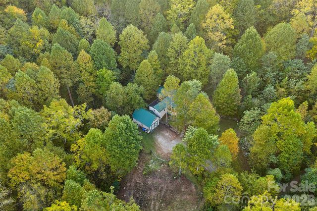 1087 N Turkey Creek Road, Leicester, NC 28748