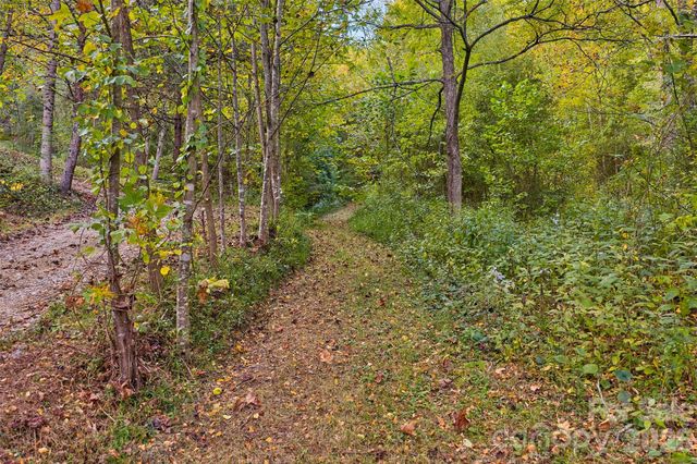 1087 N Turkey Creek Road, Leicester, NC 28748