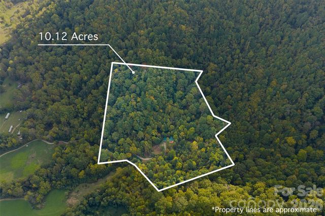 1087 N Turkey Creek Road, Leicester, NC 28748