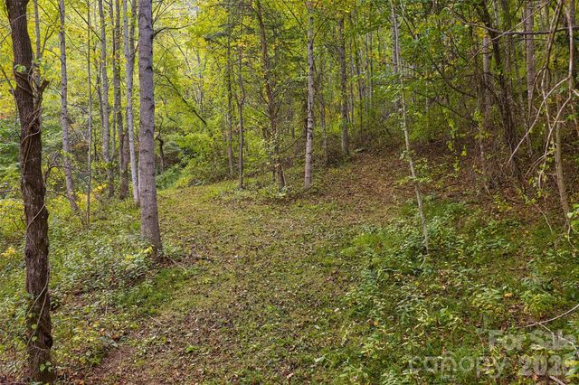 1087 N Turkey Creek Road, Leicester, NC 28748