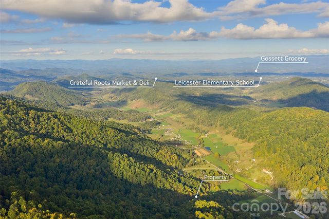 1087 N Turkey Creek Road, Leicester, NC 28748