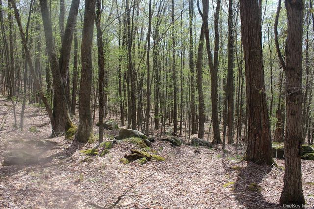 333 Peterson Drive, Roscoe, NY 12776
