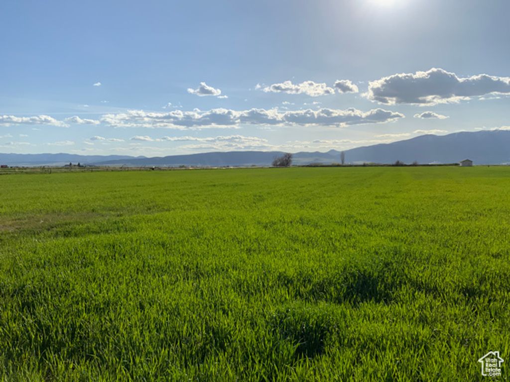 Image 5 of property listing at 1114 N 800 W, Preston, ID 83263