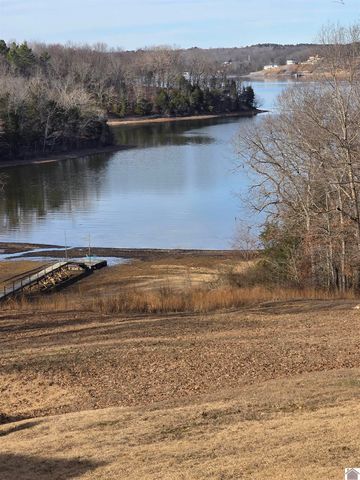 498 Paddle Lane, New Concord, KY 42076