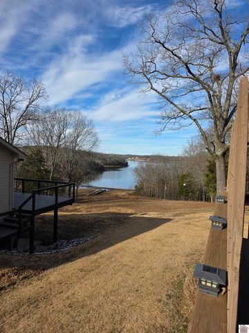 498 Paddle Lane, New Concord, KY 42076