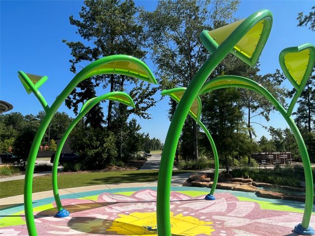 17351 Grand Canyon Road, Conroe, TX 77302