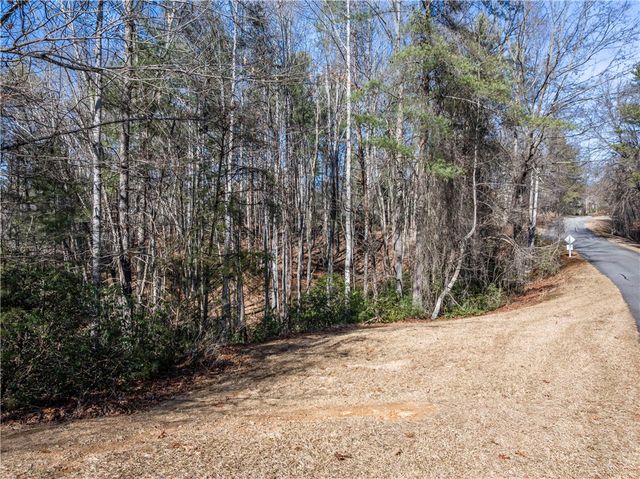 318 Ginseng Drive, Sunset, SC 29685