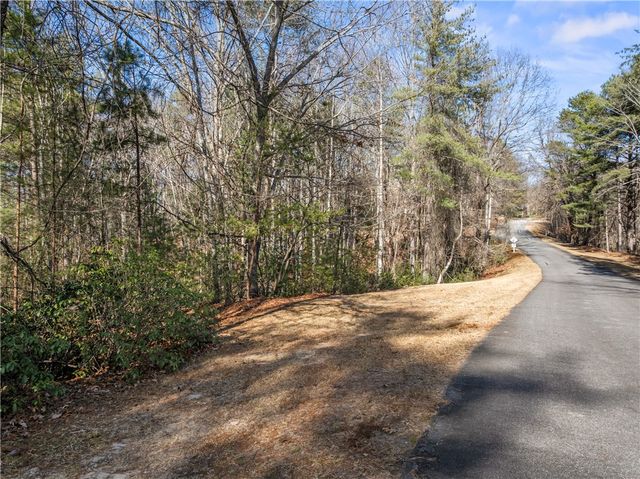 318 Ginseng Drive, Sunset, SC 29685