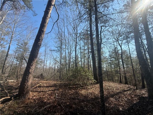 318 Ginseng Drive, Sunset, SC 29685