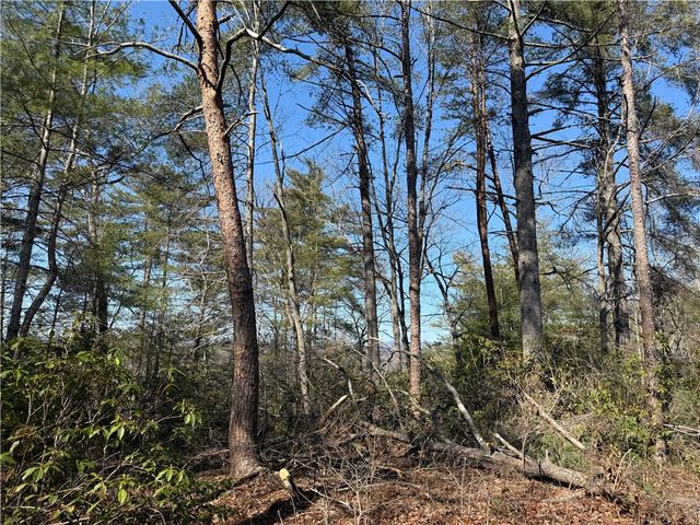 318 Ginseng Drive, Sunset, SC 29685