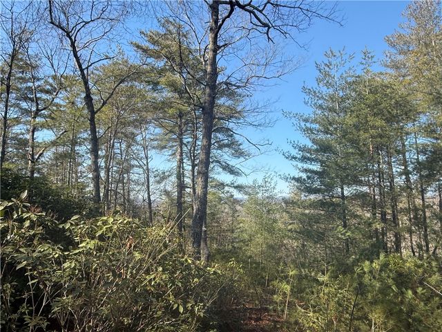 318 Ginseng Drive, Sunset, SC 29685