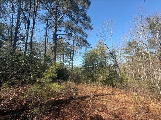 318 Ginseng Drive, Sunset, SC 29685