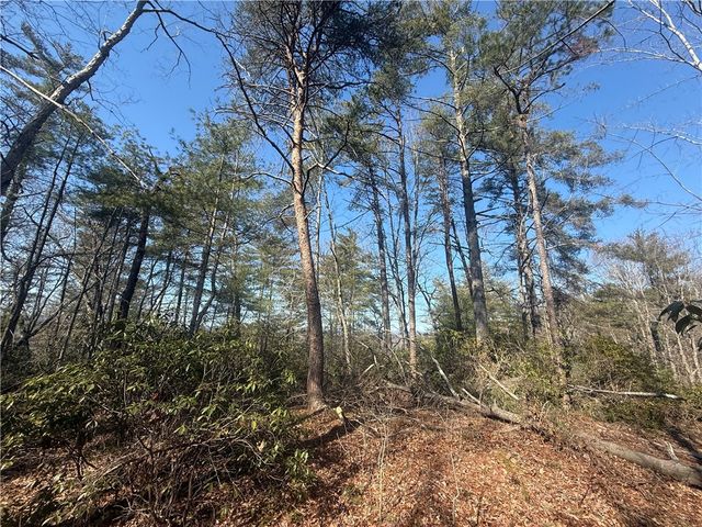 318 Ginseng Drive, Sunset, SC 29685