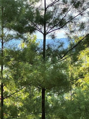 318 Ginseng Drive, Sunset, SC 29685